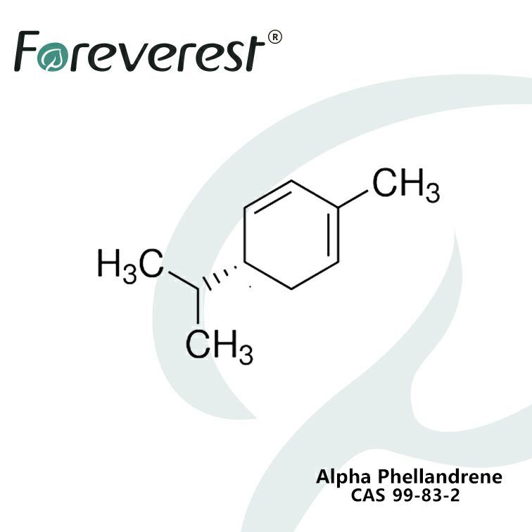 Alpha-Phellandrene-CAS-99-83-2