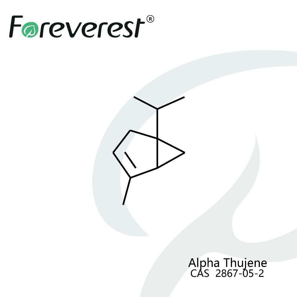 Alpha-Thujene-CAS-2867-05-2