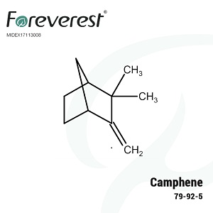 Camphene-CAS79-92-5