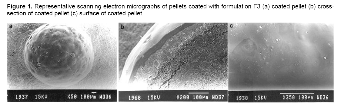 Figure 1. Representative scanning electron micrographs of pellets coated with formulation F3 (a) coated pellet (b) cross-section of coated pellet (c) surface of coated pellet.