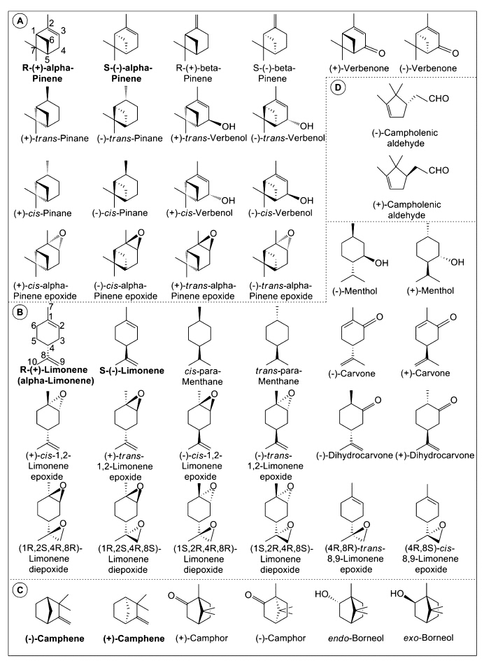 Absolute configurations of monocyclic and bicyclic monoterpenes and their derivatives described in the current review
