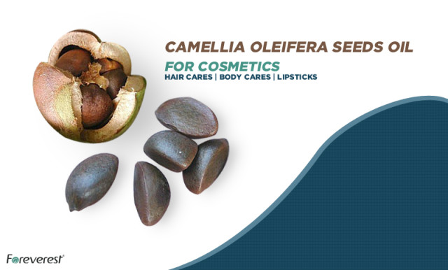 New product, Camellia Oleifera Seeds Oil for cosmetic products