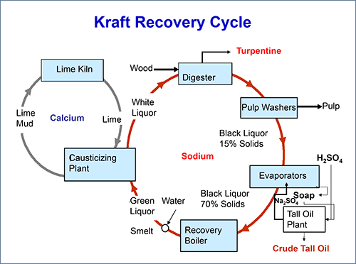 Figure 2. Kraft Recovery Cycle © PCA