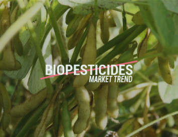 Market Trend of Biopesticides, the Green Organic Power in Agriculture