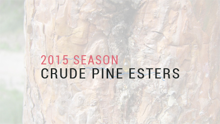 2015 Season of Crude Pine Esters