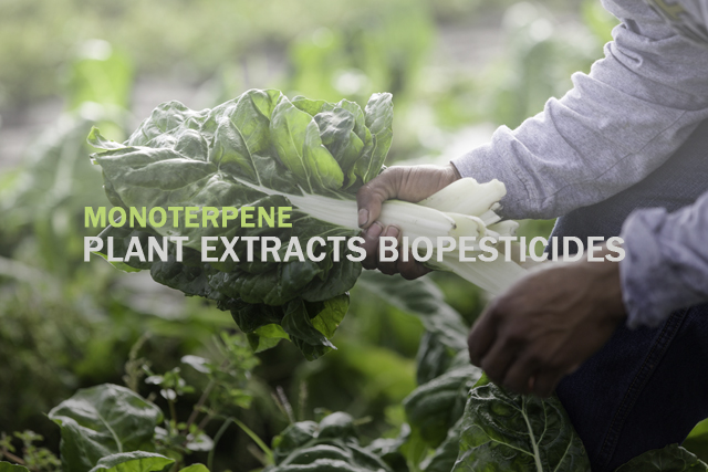 Development & Application of Plant Extracts Biopesticides and the Active Ingredients