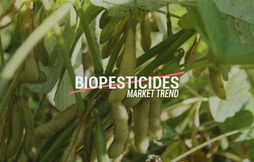 Market Trend of Biopesticides, the Green Organic Power in Agriculture