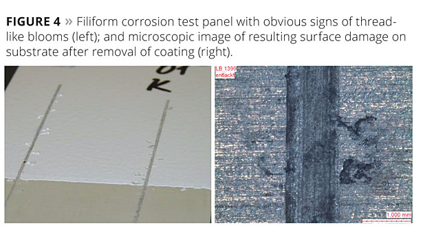 Figure 4. Filiform corrosion test panel with obvious signs of thread-like blooms (left); and microscopic image of resulting surface damage on substrate after removal of coating (right). © PCI