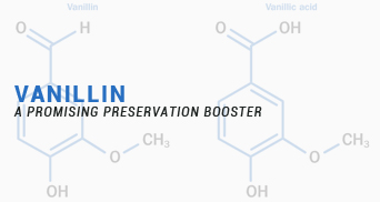 Vanillin: a promising preservation booster