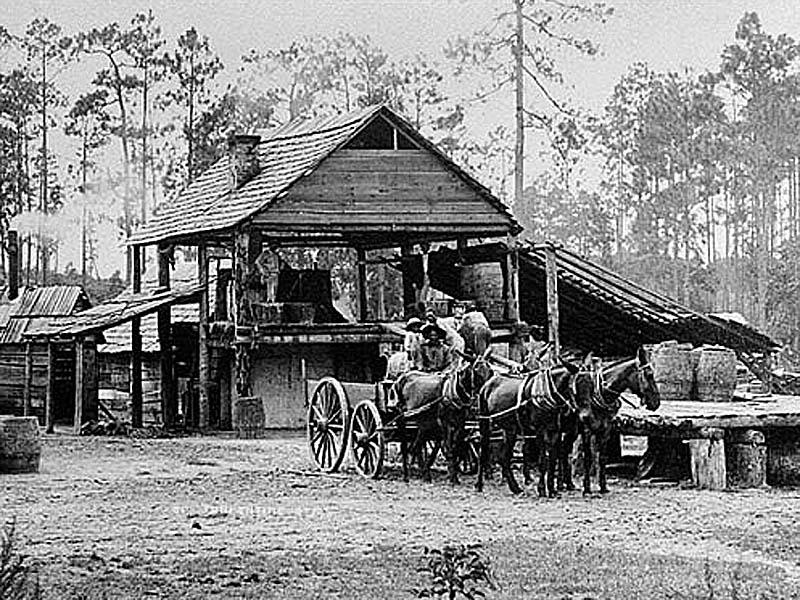 A turpentine still in Thomas County, pictured circa 1895, distills turpentine and rosin from the crude gum harvested from pine trees. The highest grade of turpentine was distilled from longleaf yellow and slash pine varieties. © Courtesy of Georgia Archives, Vanishing Georgia Collection