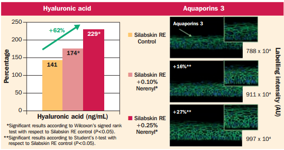 Figure 4: Effect of 0.10% and 0.25% saccharide hydrolysate on the synthesis of key markers of hydration in a model of reconstructed epidermis (Silabskin RE). © Personal Care Magazine