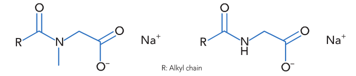 Figure.1 Acyl sarcosinate (left) and acyl glycinate (right). The hydrogen at the amide nitrogen enables acyl glycinates to create intermolecular hydrogen bondings.