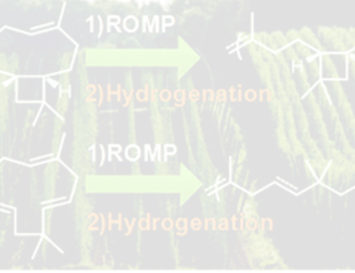 Polyterpenes by ring opening metathesis polymerization of caryophyllene and humulene