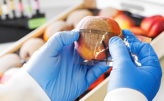 Spanish researchers develop biological products to combat Monilinia in stone fruits