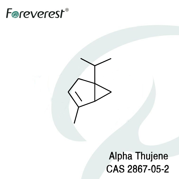 Alpha-Thujene-CAS-2867-05-2