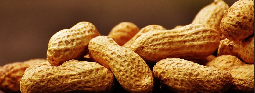 pineye-peanut