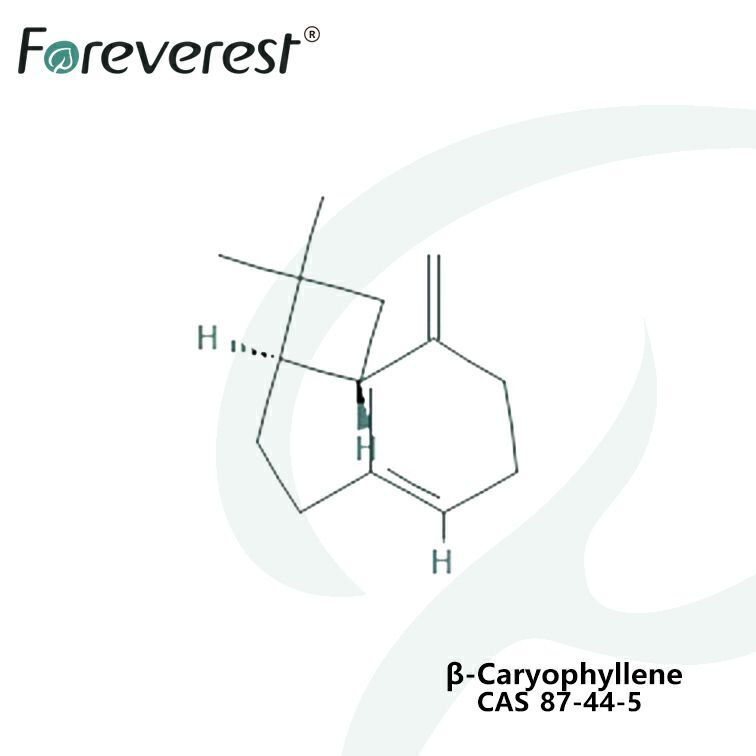 The benefits of the β-Caryophyllene(BCP)