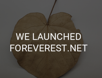 Foreverest.cn moved to Foreverest.net