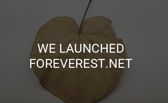 Foreverest.cn moved to Foreverest.net