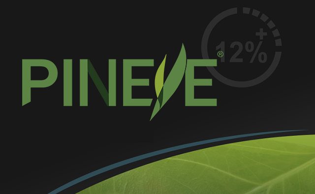 PINEYE® Emulsion, a biobased adjuvant, is added to herbicides to increase their resistance against erosion caused by rainwater.