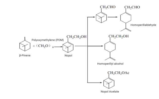 The route of beta-pinene