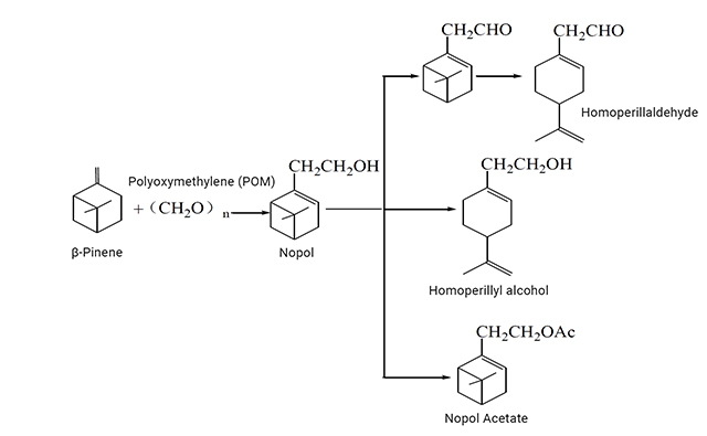 Introduction of Nopol and Nopyl acetate