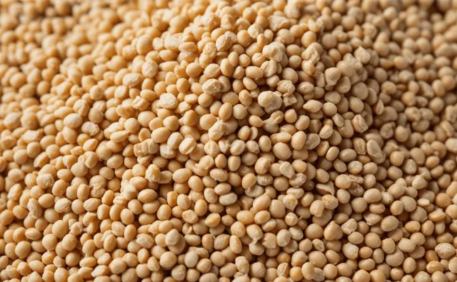 Feeding the Future: Tackling the soy-free feed challenge with innovative additives