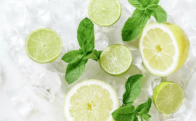 Mint Condition from Harvest to Formulation