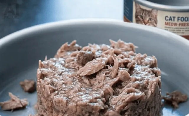 Maintaining Structure, Shape with Binders