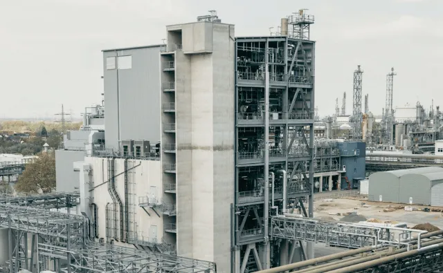 BASF Expands Mint and Citrus Aroma Ingredients Supply